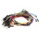 Jumper Wire M / M Pack (60pcs)